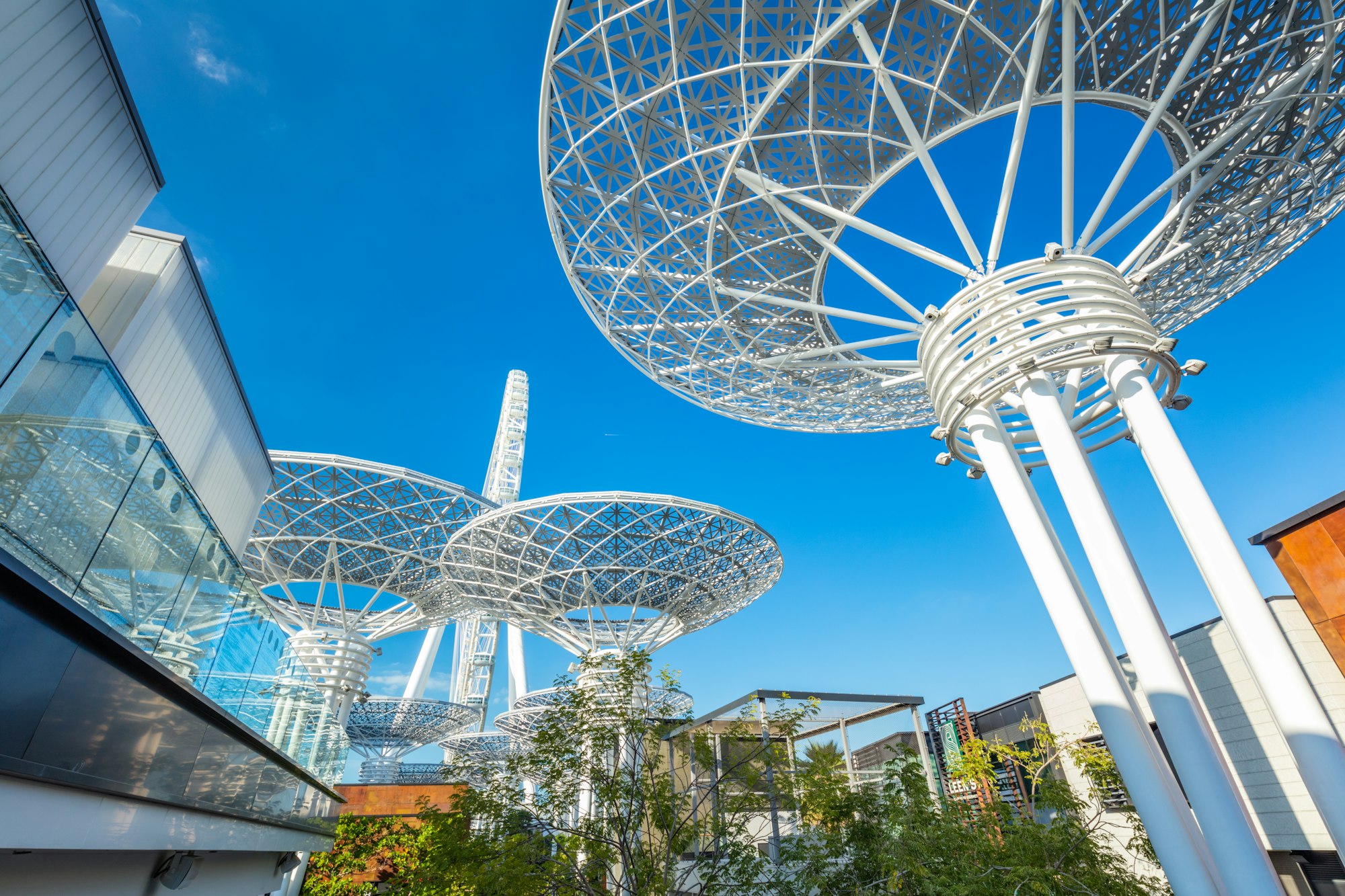 Dubai Super Trees tourist attraction, UAE